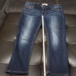 Daytrip dark wash Virgo jeans